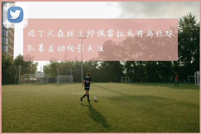 诺丁汉森林主帅佩雷拉或将离任球队幕后动向引关注