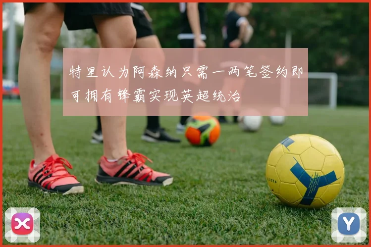 特里认为阿森纳只需一两笔签约即可拥有锋霸实现英超统治