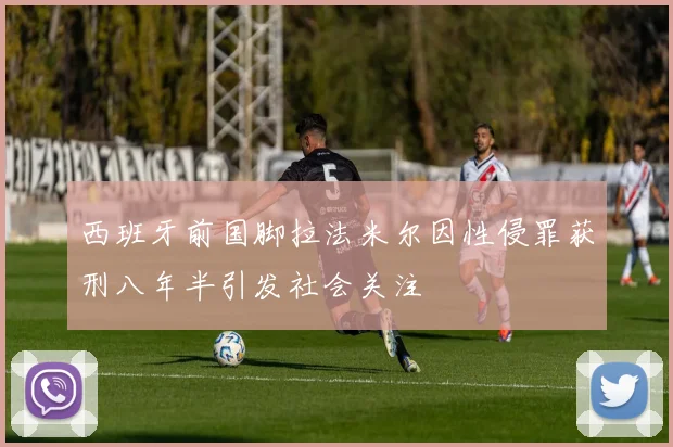 西班牙前国脚拉法米尔因性侵罪获刑八年半引发社会关注