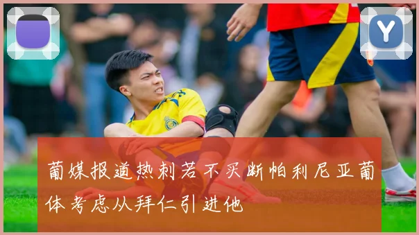 葡媒报道热刺若不买断帕利尼亚葡体考虑从拜仁引进他