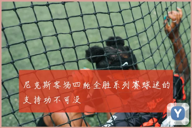 尼克斯客场四轮全胜系列赛球迷的支持功不可没